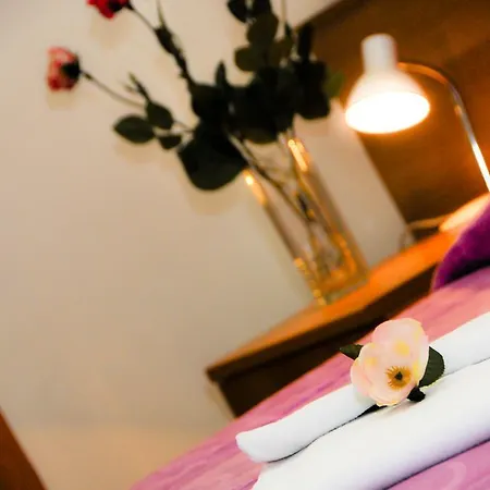 Venezia Otel 3*